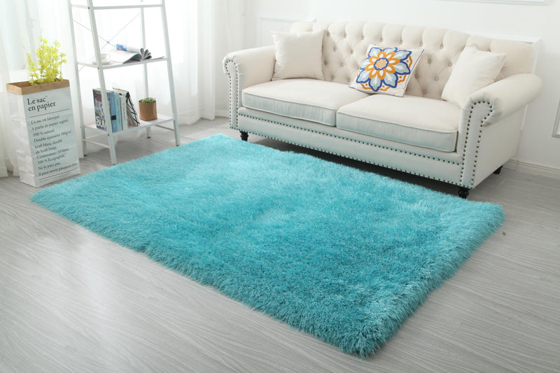 Shag Rug- AVAILABLE IN-STORE ONLY
